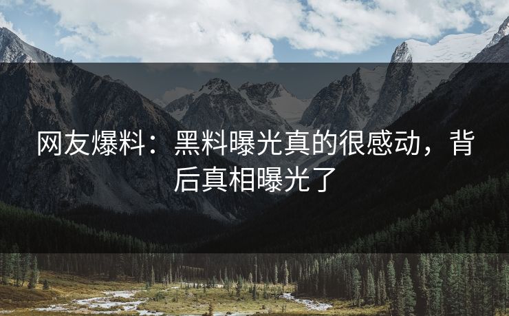 网友爆料：黑料曝光真的很感动，背后真相曝光了
