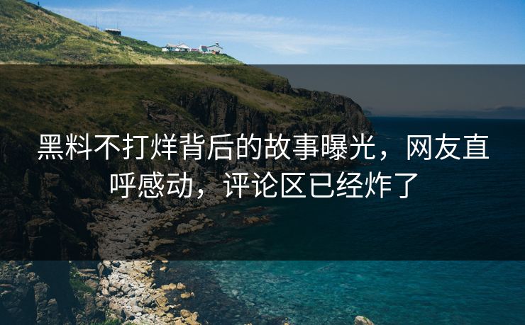 黑料不打烊背后的故事曝光，网友直呼感动，评论区已经炸了
