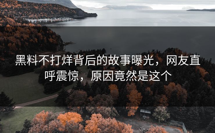 黑料不打烊背后的故事曝光，网友直呼震惊，原因竟然是这个
