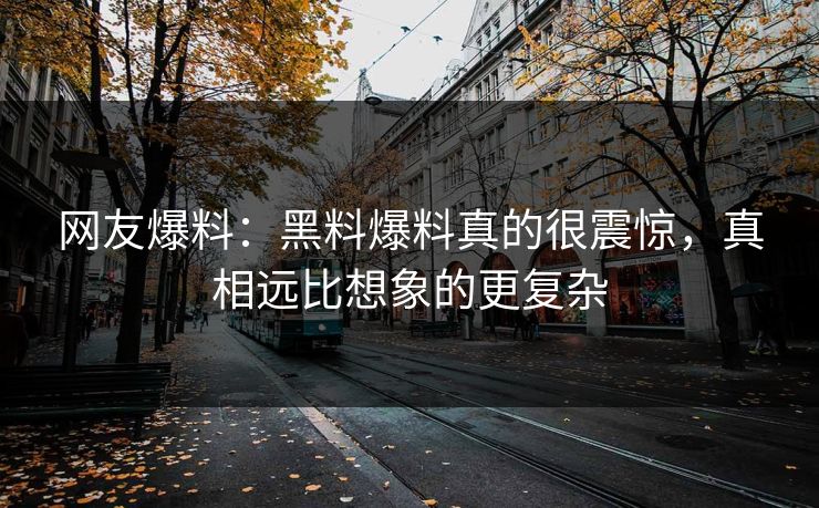 网友爆料：黑料爆料真的很震惊，真相远比想象的更复杂