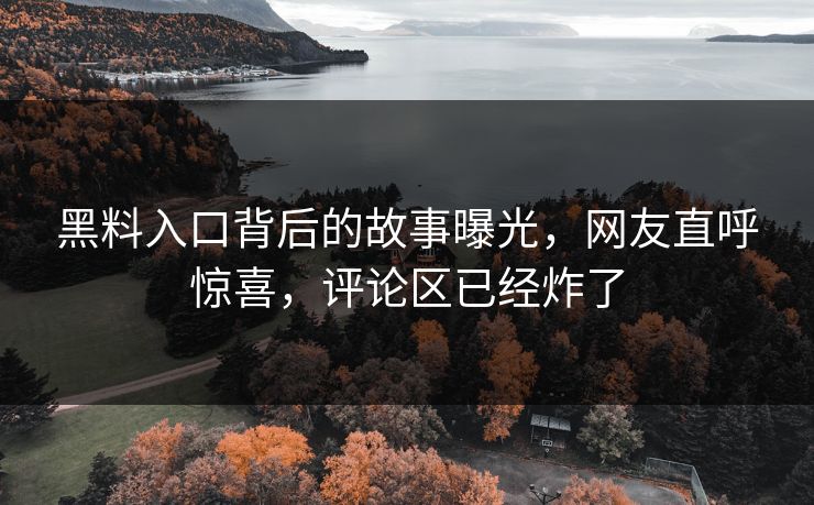 黑料入口背后的故事曝光，网友直呼惊喜，评论区已经炸了