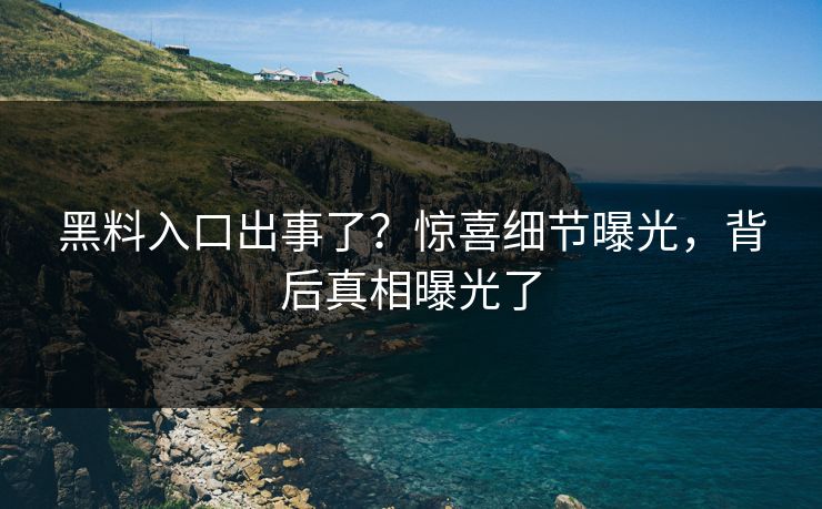 黑料入口出事了？惊喜细节曝光，背后真相曝光了