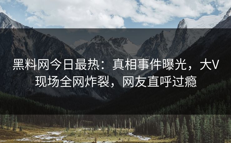 黑料网今日最热：真相事件曝光，大V现场全网炸裂，网友直呼过瘾