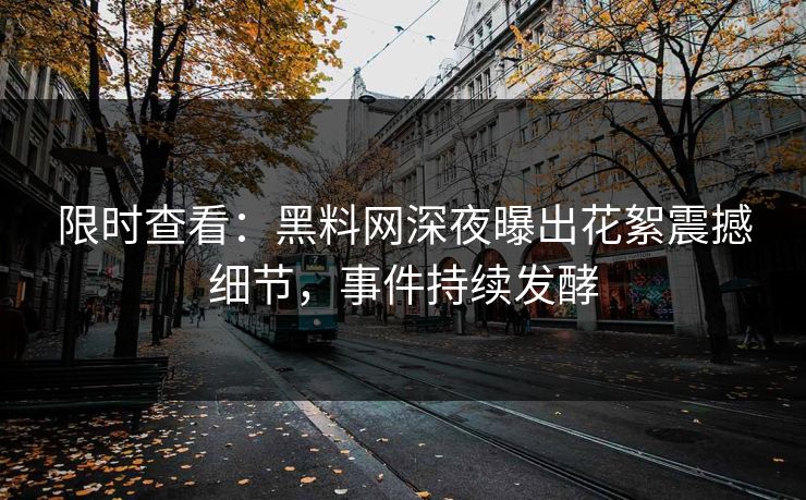 限时查看：黑料网深夜曝出花絮震撼细节，事件持续发酵