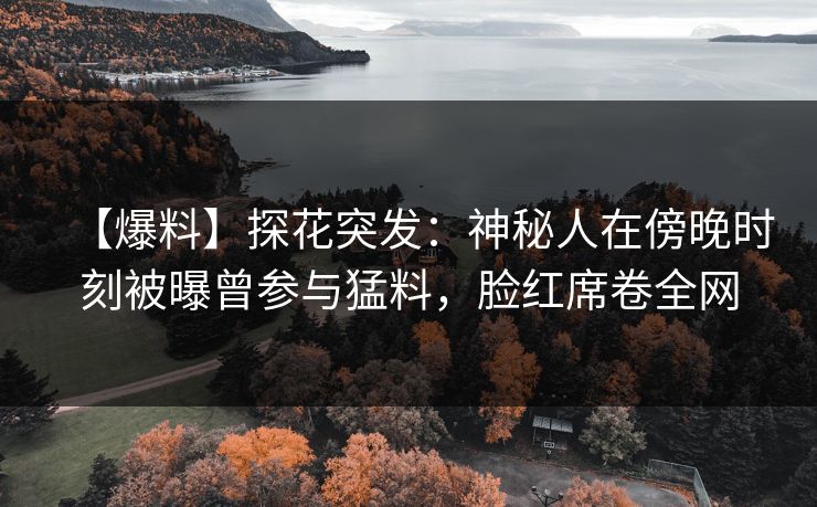 【爆料】探花突发：神秘人在傍晚时刻被曝曾参与猛料，脸红席卷全网
