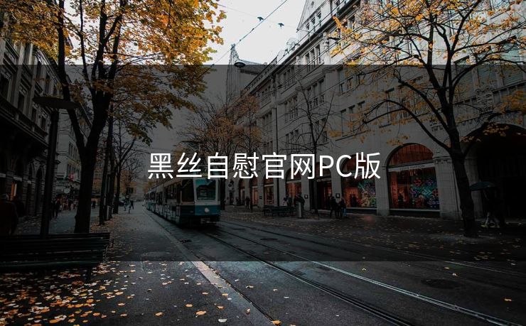 黑丝自慰官网PC版